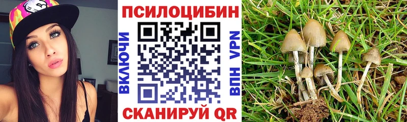 Псилоцибиновые грибы мицелий Купить Камызяк